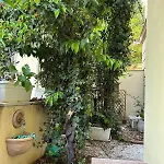 Il Giardinetto, E Tranquillo *